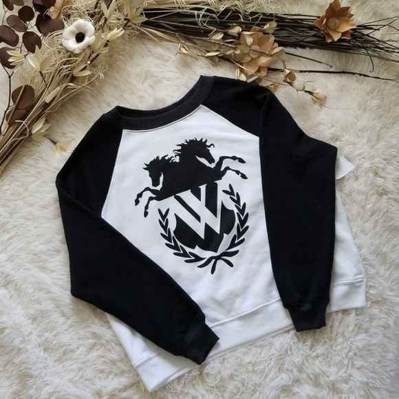 Wildfox Tops - Wildfox Sommers Sweatshirt